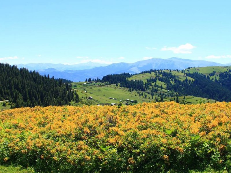 karadeniz bisiklet festivali