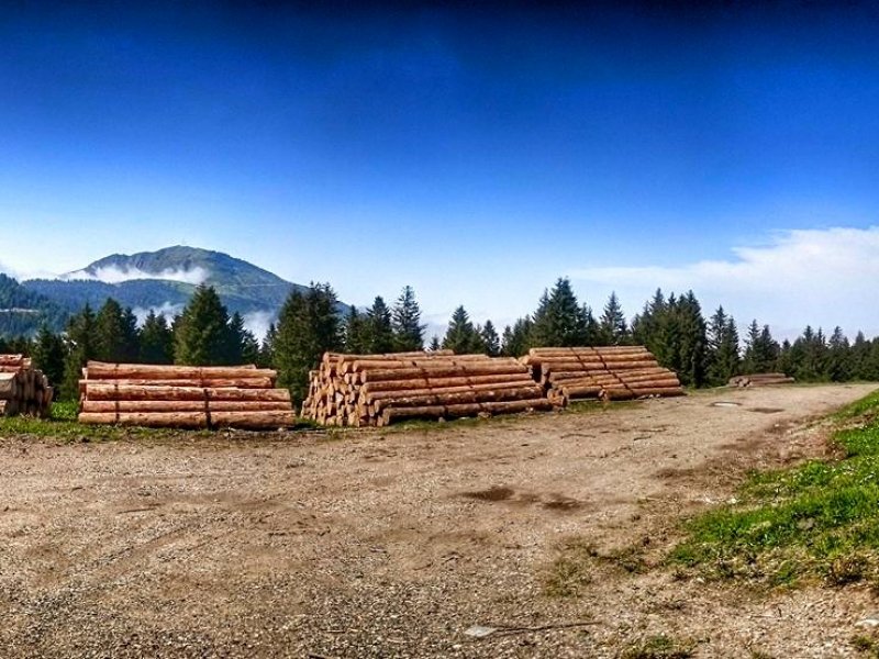 karadeniz bisiklet festivali